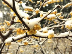 -香山公园-东宫门售票处
