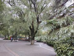 -赭山公园