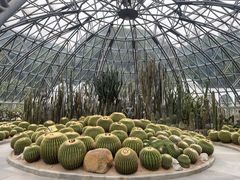 -深圳仙湖植物园
