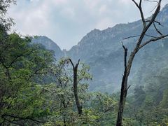 -泰山风景名胜区