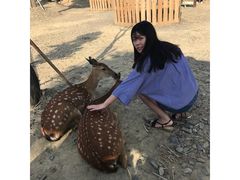 -鹿境梅花鹿生态园区