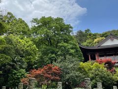 -十八棵（老龙井）御茶园(老龙井店)