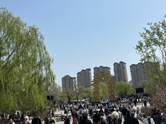 -北山公园