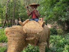 -溱湖国家湿地公园