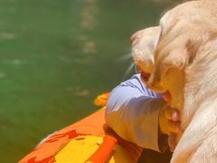 -安吉龙王山峡谷漂流