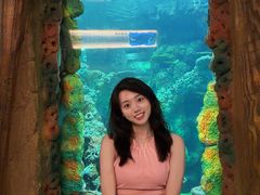 -长鹿旅游休博园