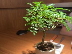 -CURRY YA 熟成咖哩專門店(深圳湾万象城店)