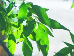 -东坝千亩湖公园