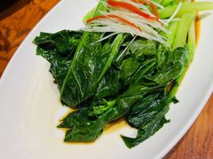 -老阿妈蒙古村·蒙古包·草原文化·歌舞表演(老君堂店)
