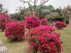 -文华公园(禅城区)