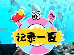-瑞德姆美人鱼海底演艺主题餐厅(亚龙湾店)