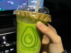 -油梨树AVOCADO TREE(顺义新国展店)