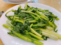 生炒菜心-东兴黄鳝饭店(江洲店)