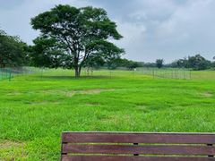 -汉长安城未央宫国家考古遗址公园