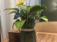 -云海肴·汽锅鸡·云南代表菜(浦江欢乐颂店)