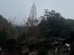 -林坑古村落