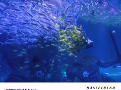 -波塞冬旅游度假区