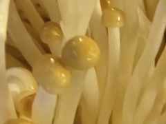 -王家渡火锅(三苏祠店)