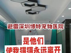 -博特宠物医院24h犬猫全科.骨科·异宠