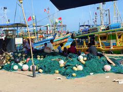 -尼甘布海鲜市场