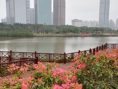 -万绿园