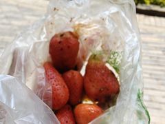 -雪儿钱局泡菜
