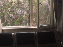 -酷宠动物医院(天通西苑店)