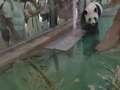 -成都动物园