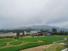 -禾悦庄餐厅