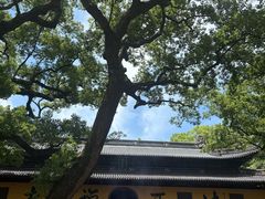 -普陀山风景名胜区-法雨禅寺