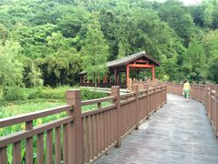 -重庆彩云湖湿地公园