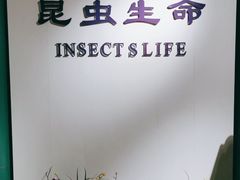 -上海昆虫博物馆