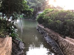 -小洲村