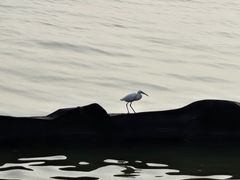-蠡湖大桥公园