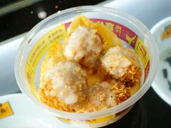 -无影脚佛山陈氏盲公丸始创店(飞鸿街店)