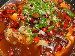 传统毛血旺-眉舍川菜(北投购物公园店)