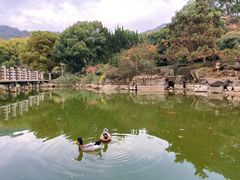 -白马涧龙池景区