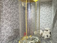 -不可思议减压馆·解压博物馆·摔碗发泄·团建定制