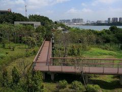 -立新湖公园