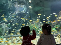 -福州罗源湾海洋世界旅游区