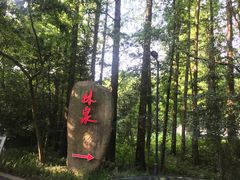 -杭州林泉山庄