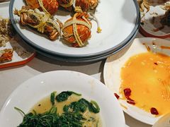 -杨氏青龙虾·羊蝎子(托乐嘉店)
