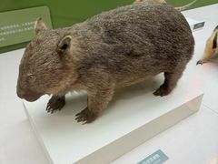 -国家自然博物馆