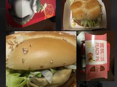 -麦当劳(桃仙机场到达层店)