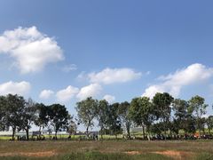 -光明小镇欢乐田园