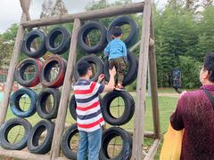 -前小桔亲子创意农场·草莓采摘·露营烧烤