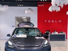 -TESLA 特斯拉(深圳观澜特斯拉直营钣喷中心)
