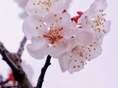 -浙江万里学院(钱湖校区)