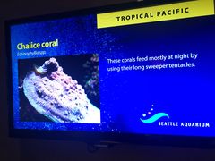 -西雅图水族馆