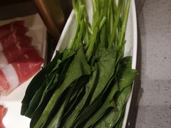 -海底捞火锅(铂澜大象城店)